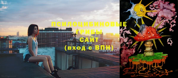 гидра Гвардейск