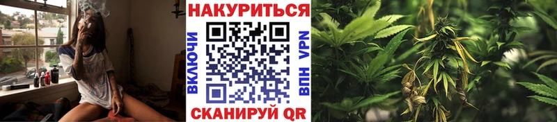 Купить  Дрезна  Конопля MAZAR 